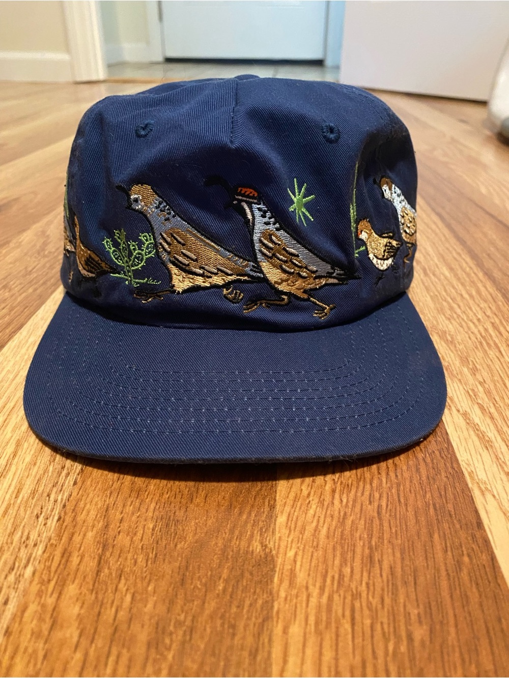 Bird collective hat, never worn